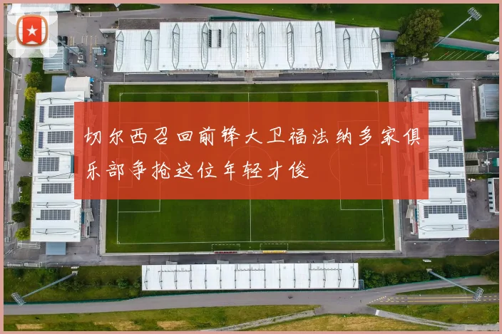 切尔西召回前锋大卫福法纳多家俱乐部争抢这位年轻才俊