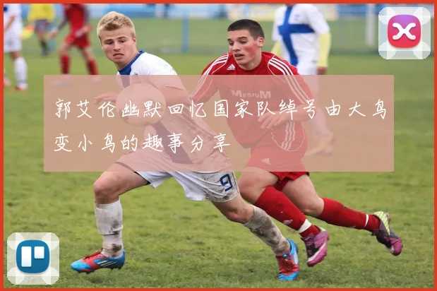 郭艾伦幽默回忆国家队绰号由大鸟变小鸟的趣事分享
